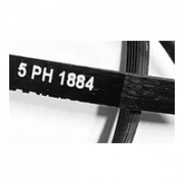 CORREIA SECADORA SE10 ELECTROLUX A09954701 5PH1884